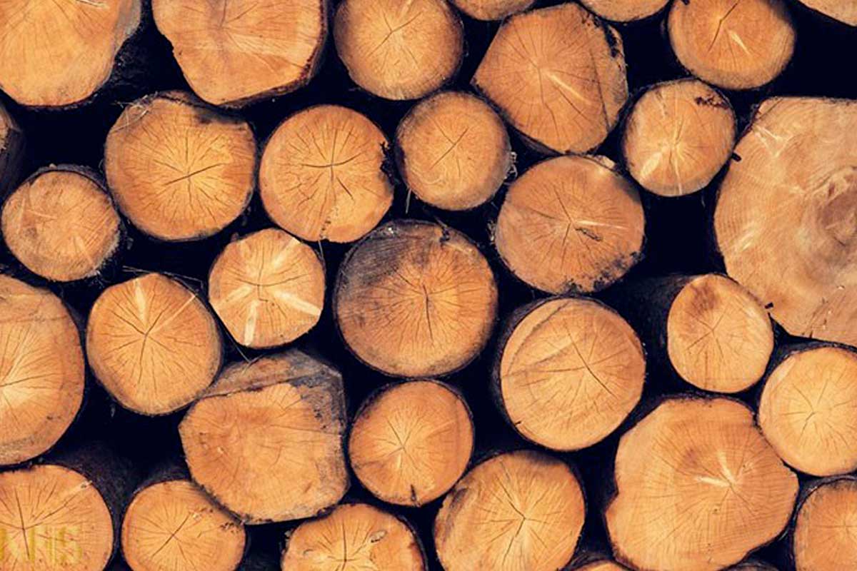انواع چوب استفاده شده در مبلمان ویژگیها وکاربردها